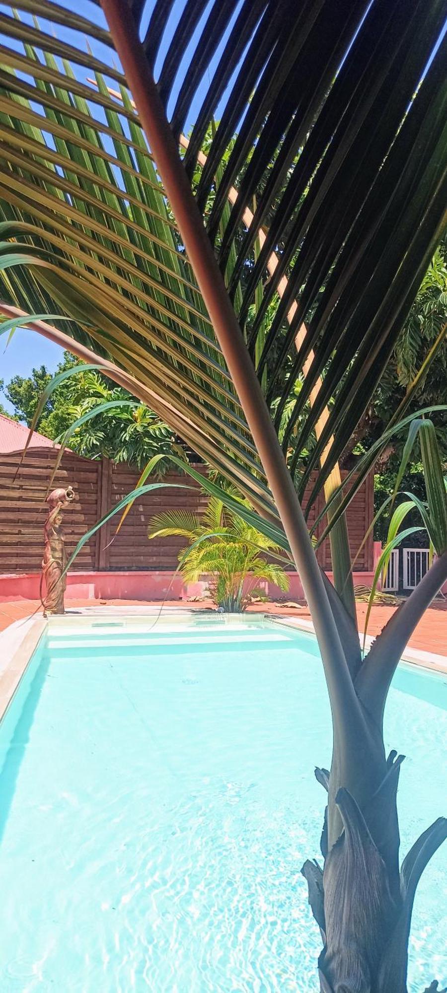 La Canopee Enchantee, Chambres D'Hotes, Piscine, Proche Aeroport, Gare Maritime 레자빔 외부 사진